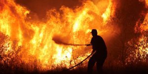 Wildfire burns in central Greece